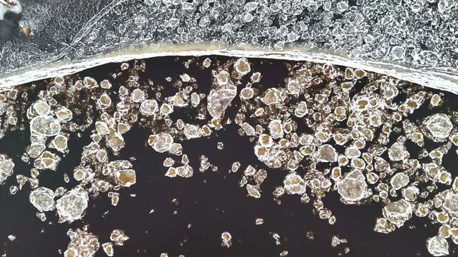 Aerial view of ice floes drifting in the dark water of the Daugava River during the spring thaw in Riga, Latvia.
