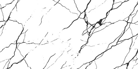 A textured marble surface featuring a striking pattern of dark veins across a white background, creating a sophisticated and natural design. © Shehbaz Studio