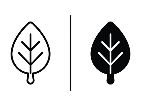 Nature Leaf Vector Icon in Outline and Filled Styles for Professional UI Design