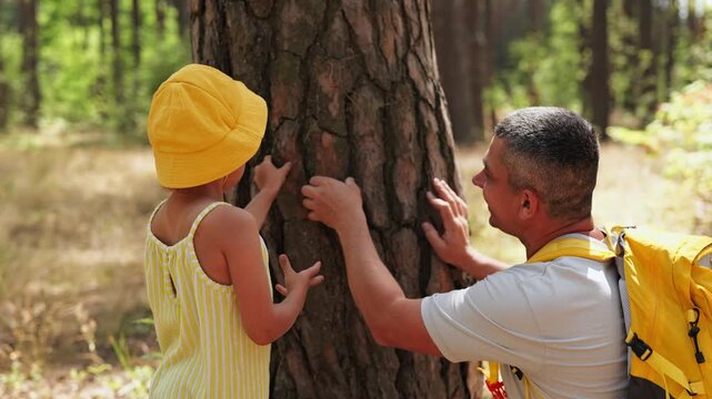 A child in a yellow hat touches a tree while an adult helps. They are in a forest with trees and sunlight. The scene shows nature and learning