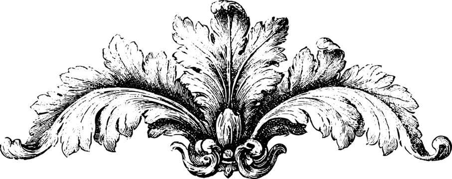 Decorative vintage engraved damask arrangement with acanthus leaves and scrollwork for ornamental border, background and pattern design