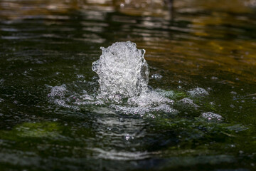 Fototapeta premium Water jetting upwards from a fountain capturing movement and bubbles on the surface