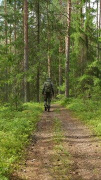 Man in camouflage clothing with a backpack walking away down a dirt road into a dense pine forest. Concept of bushcraft, hiking and wilderness survival.