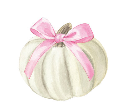 Watercolor White Pumpkin with Pink Bow