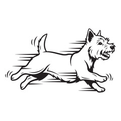 Fototapeta premium West Highland White Terrier running fast vector icon with dynamic motion lines for pet services and canine agility branding