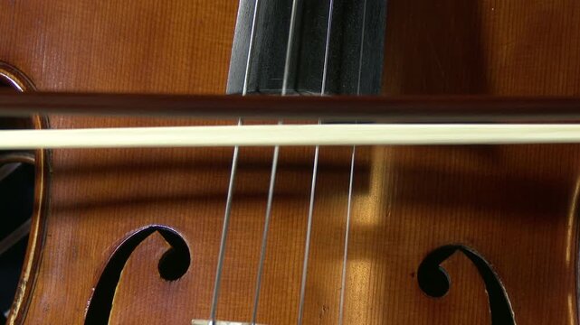 4K Cello and Cellist