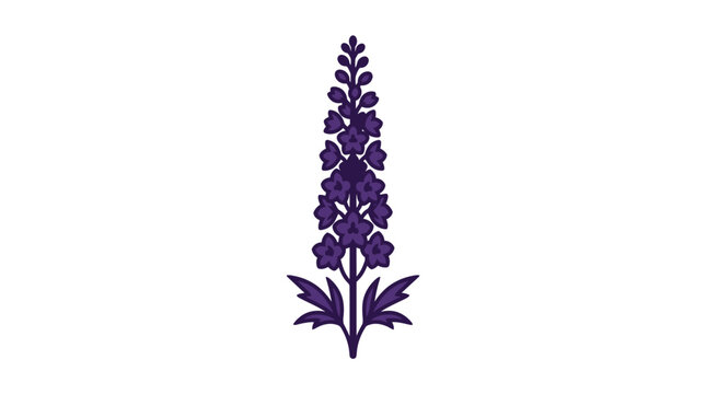 Purple delphinium flower spike vector illustration