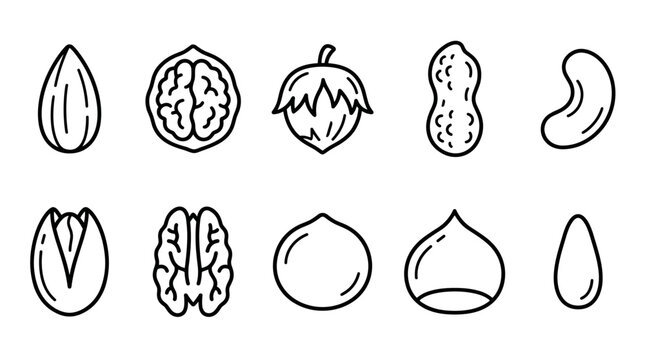 Hand drawn nut icon set, minimalist outline silhouettes, almond walnut hazelnut peanut cashew pistachio pecan