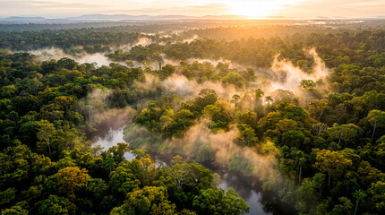 Fototapeta premium Amazon Rainforest Sunrise: An aerial view of the vast Amazon rainforest at sunrise, with a winding river reflecting the golden light and mist rising from the dense canopy.
