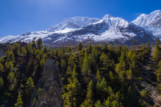 Aerial view of the snow-capped Himalayan mountains featuring lush pine forests on the slopes and traditional prayer flags strung across the landscape in Nepal.