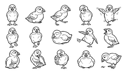 Cute Baby Chick Doodle Collection with Different Poses Hand Drawn Bird Outline Illustration Set © Crafts Home