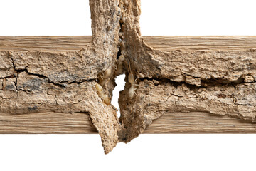 Obraz premium Close-Up of Cracked Wood Texture Detail PNG cutout