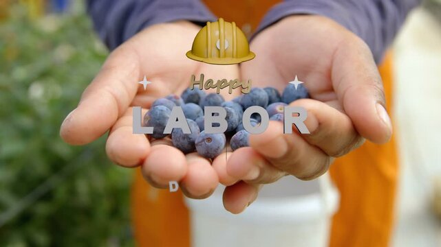 Sequence starting hands holding berries, overlay assembling LABOR DAY, ribbon honoring US worker
