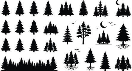 Obraz premium Pine tree silhouette set forest fir spruce evergreen cedar trees moon birds vector illustration collection black shape.