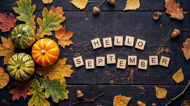 Seasonal autumn flat lay featuring decorative pumpkins, colourful fall leaves, acorns, and wooden letter tiles spelling Hello September on a rustic dark wood background
