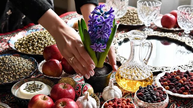 A woman carefully positions a fragrant violet hyacinth flower upon a festive Haft-sin spread decorated with traditional Persian symbolism to celebrate the arrival of the spring equinox new year