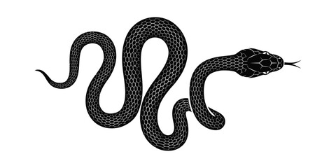 Fototapeta premium Black and white hand drawn illustration of a slithering snake .
