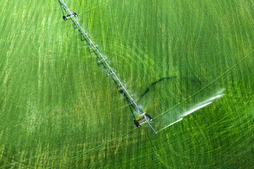 Fototapeta premium Sprinkler system waters cultivated field. Sprinkler system crosses green grass. Aerial sprinkler system sprays water. Center pivot sprinkler system irrigates field.
