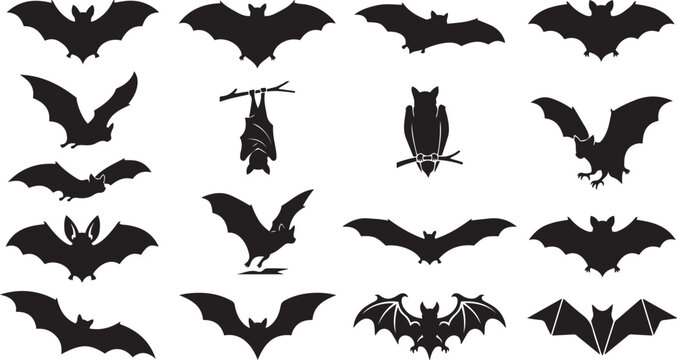 Set of black bat silhouettes for halloween design with silhouette, halloween