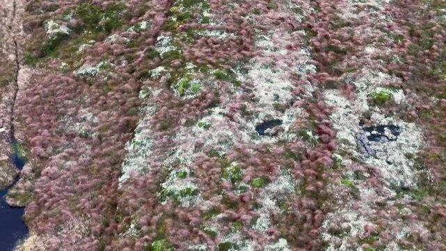 Norway Vega Island Vegafjorden Holand Nord&oslash;ya Stor&oslash;ya Gards&oslash;ya Stokkv&aelig;ret Holandsosen Nature Reserve 4K Aerial Drone