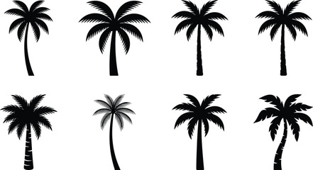 Fototapeta premium Tropical Palm Tree Silhouette Collection Set Isolated on White Background with Black Coconut Palm Vector Design Elements