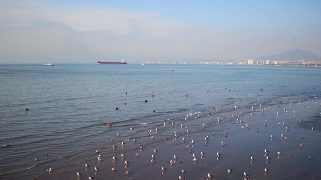 video coquimbo_aerea_alta_08