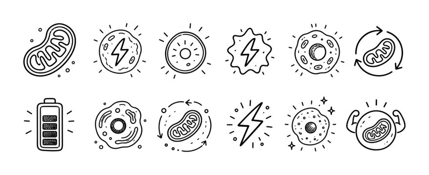 Set of hand-drawn mitochondria icons representing cellular energy, biology, and metabolism, including a cell, battery, and lightning bolt symbols in a simple doodle line art style