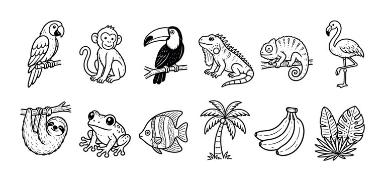 Collection of cute tropical jungle animal and plant icons in a black and white hand-drawn doodle style, including a parrot, monkey, toucan, iguana, sloth, and frog