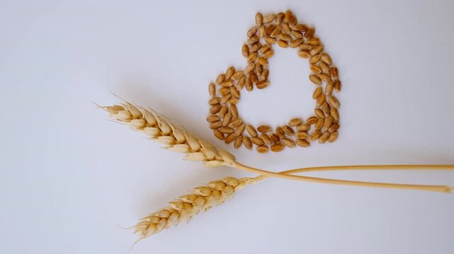 Wheat isolate on a white background. Selective focus.