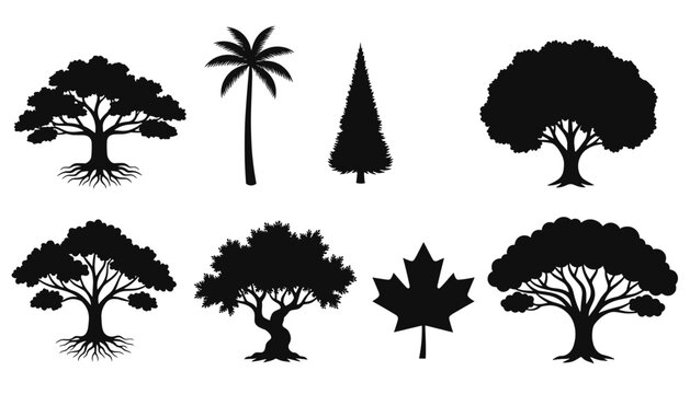 Collection of various tree silhouettes including oak, palm, pine and a maple leaf isolated on a white background.