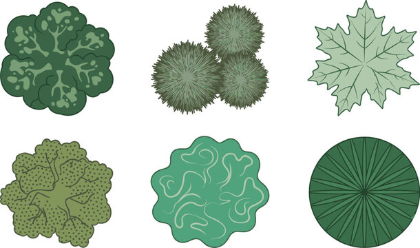 Set of Tree Top View Symbols for Landscape Site Plans Illustration