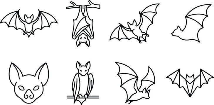 Halloween illustration of bats and foxes with halloween, creature