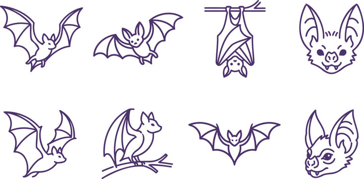 Halloween illustration of bats and owls with halloween, creature