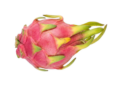 Fresh dragon fruit png Ripe pitaya cutout Exotic dragonfruit png Tropical pitahaya cutout Organic dragon fruit png Vibrant pitaya cutout isolated transparent background image
