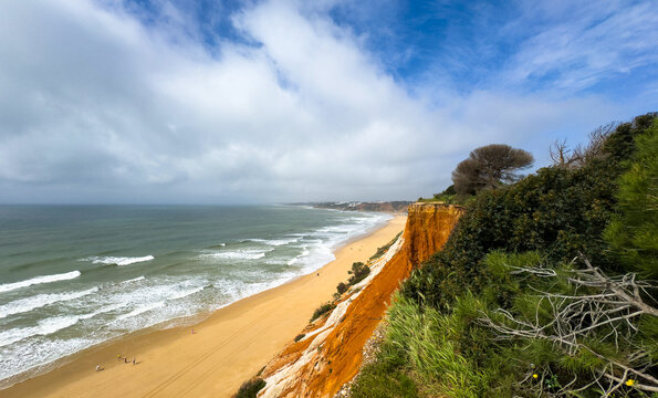 Landscape view of the Algarve coast, red cliffs, several pine trees on the upper part of the cliffs, beautiful blue sky