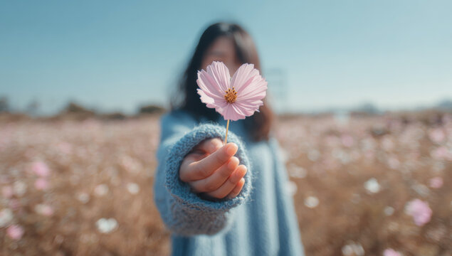 Hand holding two delicate pink cosmos flowers connected at the stem, symbolizing love and connection in a summer field