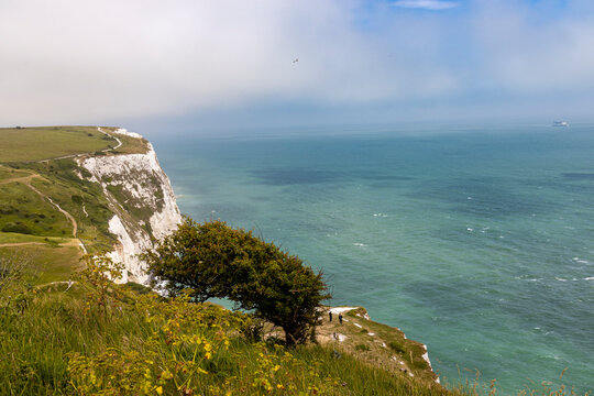 Dover Coastline