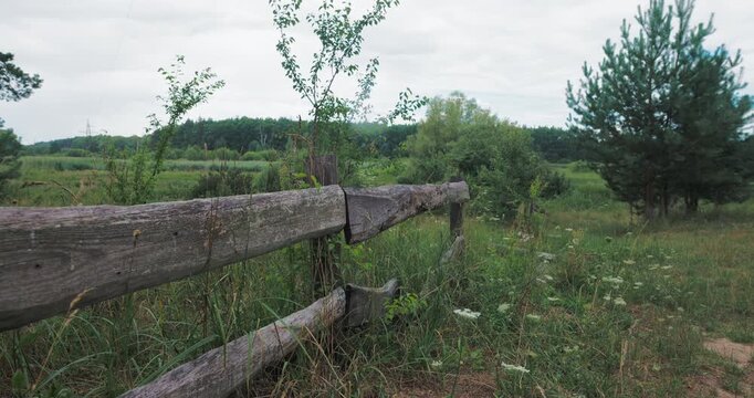 Beautiful countryside landscape with green meadow and trees on a rainy day