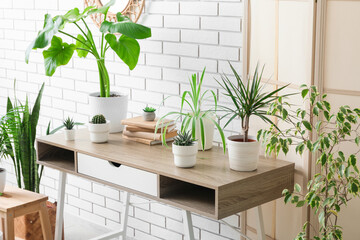 Various green houseplants on a modern wooden console table against a white brick wall, home decor and interior design © Pixel-Shot