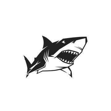 Aggressive shark mascot logo design in black and white vector style.