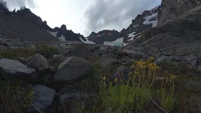Wildflowers And Glacier Below Rugged Peaks In Cerro Castillo National Park Patagonia Chile Slow Zoom