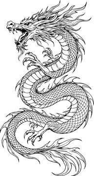 dragon tattoo vector