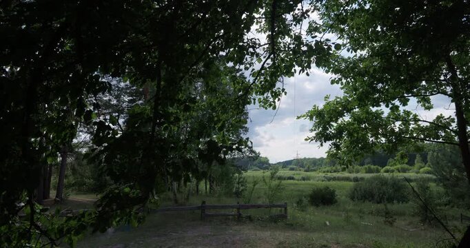 Landscape view of sunlight illuminating meadow behind dark tree shadows