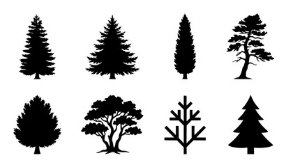 Fototapeta premium Pine Fir Evergreen Tree Silhouette Vector Collection Isolated on White Background for Nature Design