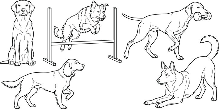 Active dog agility training vector line art set featuring jumping fetching sitting and playing canine poses