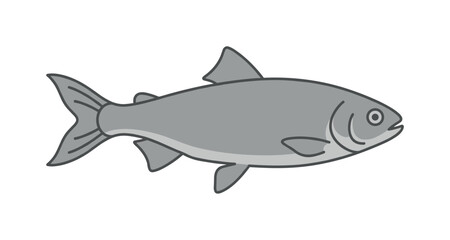 Fototapeta premium Simple illustration of a gray fish swimming gracefully to the right side