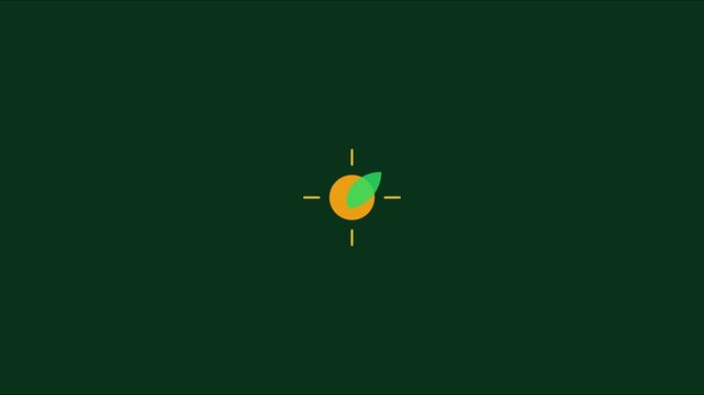Minimalist orange fruit animation with rotating leaf on dark green 4k background, motion citrus