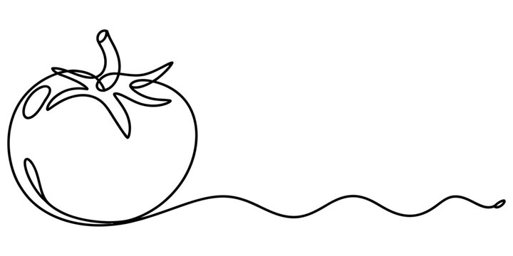 Continuous single line drawing of a fresh red tomato vegetable with a stem on a white background for food design and minimalist art project Vector, illustration