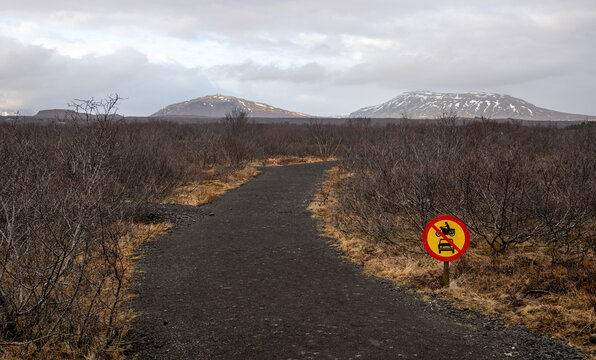 Gravel path winding through scrubland and dry vegetation in tingvellir national park, iceland, with distant snow capped mountains and cloudy sky. No vehicle sign