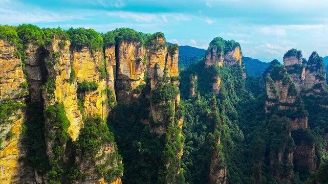 Sandstone pillars covered with dense green trees at Zhangjiajie National Forest Park in Hunan, China.